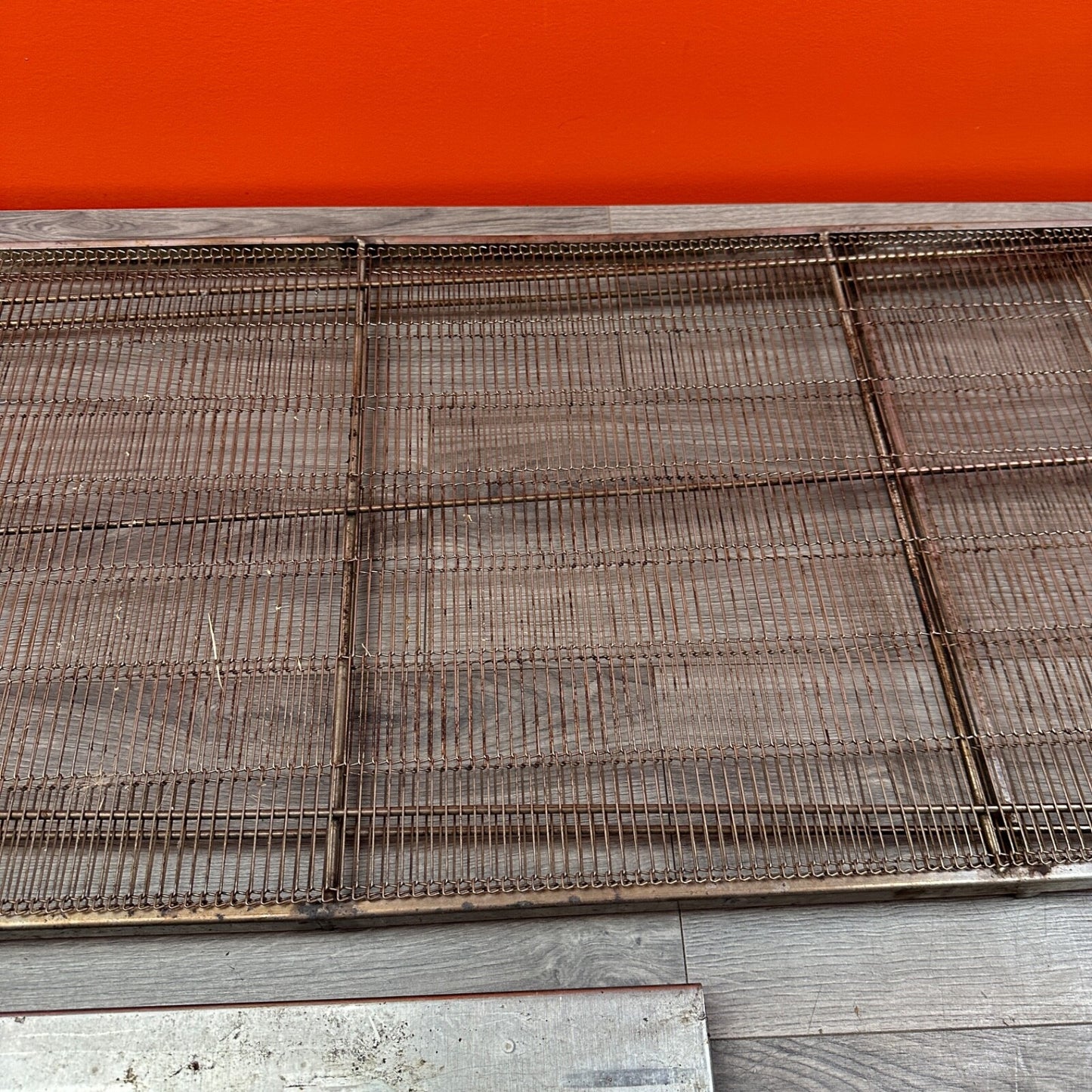 Lincoln Impringer 1100 Conveyor Belt Assembly 1131 Pizza Oven
