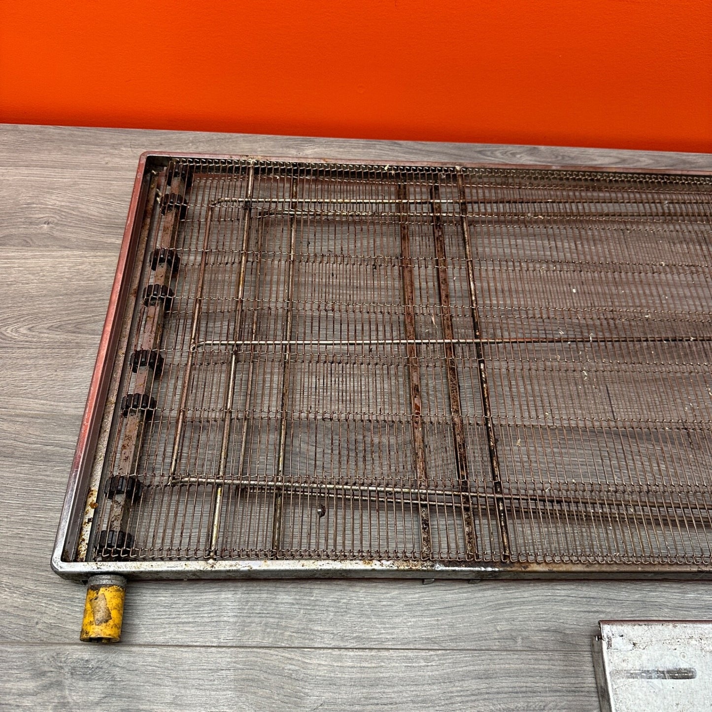 Lincoln Impringer 1100 Conveyor Belt Assembly 1131 Pizza Oven