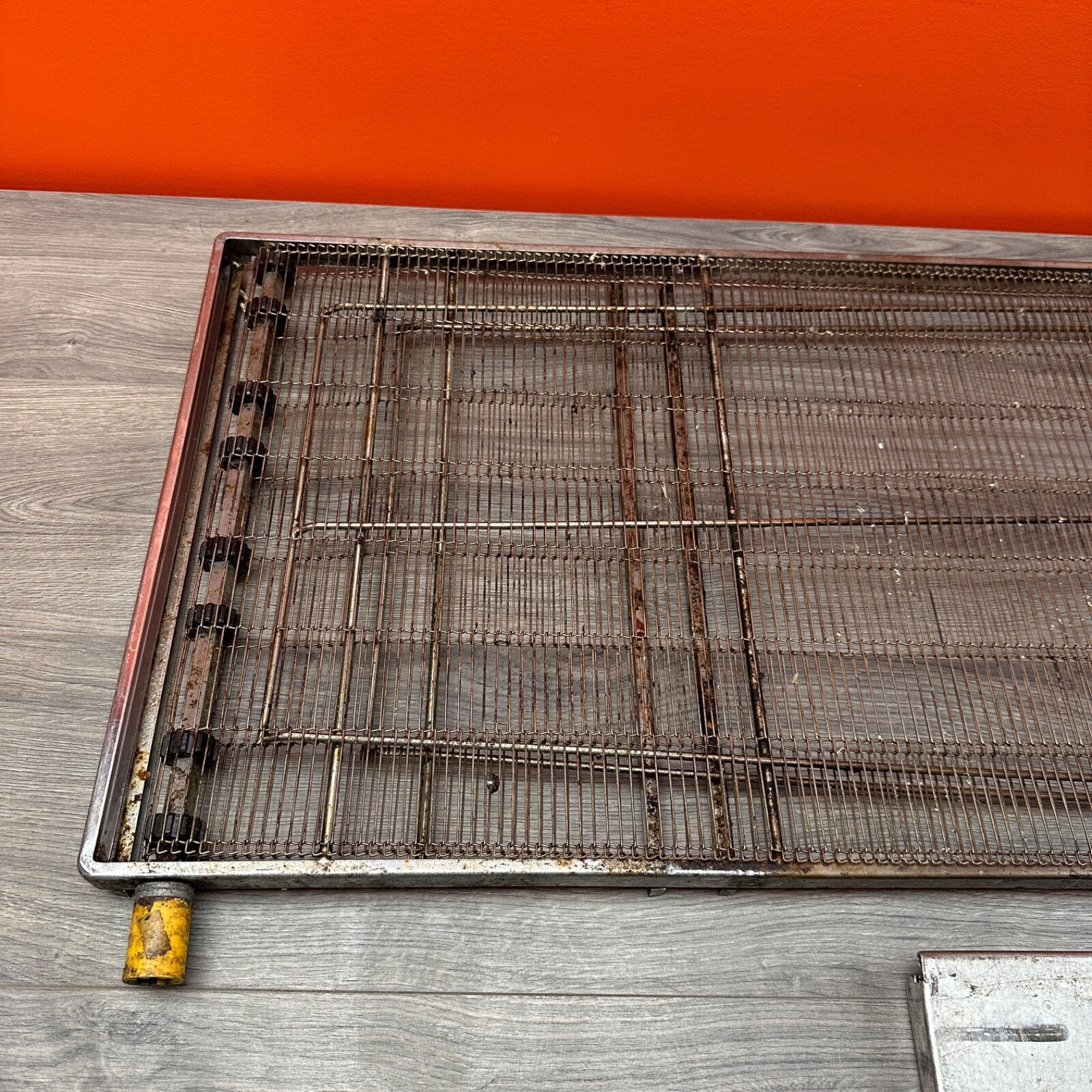Lincoln Impringer 1100 Conveyor Belt Assembly 1131 Pizza Oven